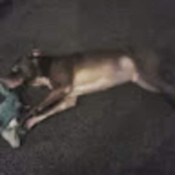 Meet your Posher, Tracy - Picture 1 of 1